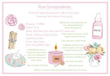 Preview of Rose Information/Correspondences