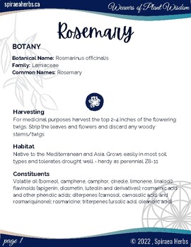Preview of Rosemary ~ Rosmarinus officinalis Herbal Mini-Book (Monograph)