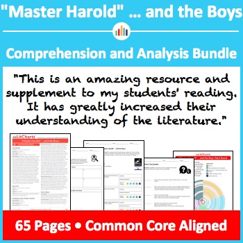 Master Harold and the Boys Critical Analysis
