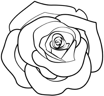 coloring pages for adults roses