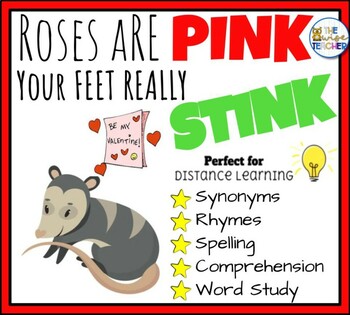 Preview of Roses are Pink Your Feet Really Stink | Reading Comprehension | Book Companion