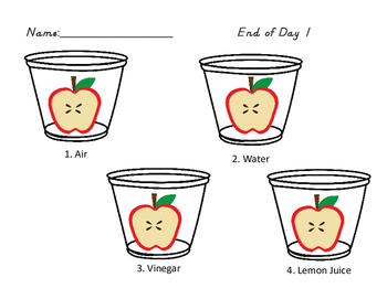 Preview of Rotting Apples-A Science Experiment Recording Sheet