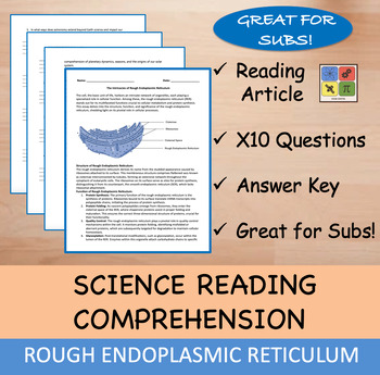 Preview of Rough Endoplasmic Reticulum - Reading Passage and x 10 Questions (EDITABLE)