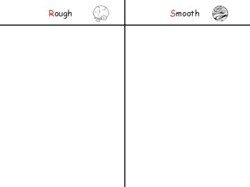 Smooth and Rough worksheet