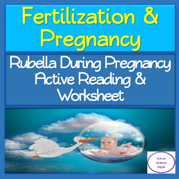 Preview of Rubella During Pregnancy Active Reading & Worksheet Activity