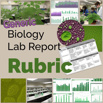 Preview of Rubric:  Biology Lab Report