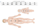 Rule of Nines: Burn Percentages and Matching Activity