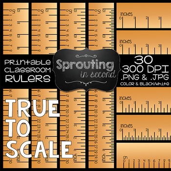 Preview of Ruler Clipart {Inches & Centimeters}