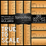 Ruler Clipart {Inches & Centimeters}