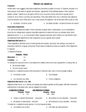 Rules for Gender/Género of Adjectives/Adjetivos in Spanish