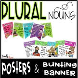 Rules of Plural Nouns Posters