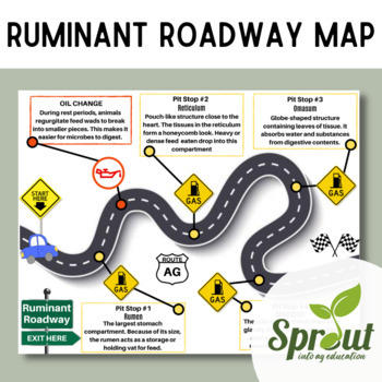 Preview of Ruminant Roadway Map