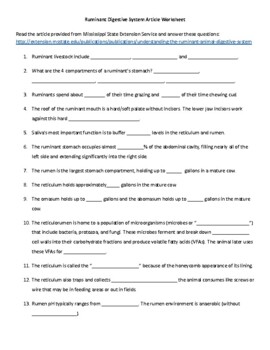 Preview of Ruminant digestive system- article reading and worksheet