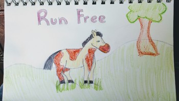 Preview of Run Free Horse Drawing