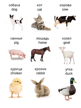 Preview of Russian/English Animal Poster