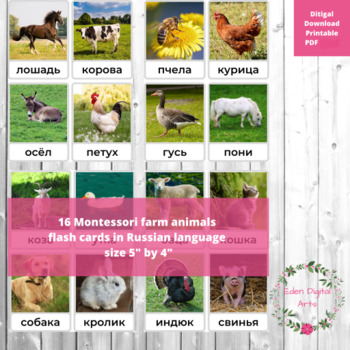 Preview of Russian Language Farm Animals Montessori FlashCards Vocabulary Карточки