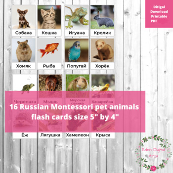 Preview of Russian Language Pet Animals Montessori FlashCards Vocabulary Животные Карточки