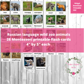 Preview of Russian Language Wild Zoo Animals Vocabulary Picture Flashcards Животные Photos