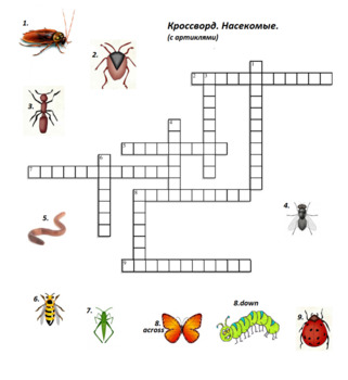 Preview of Russian Spelling Worksheet INSECTS 18 pg of fun activities, crossword