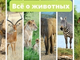 Russian printable digital pdf lesson About Animals