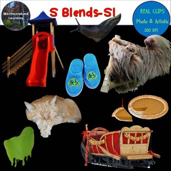 Preview of S Blends Clip Art SL Blend Real Clips Digital Stickers Photo & Artistic