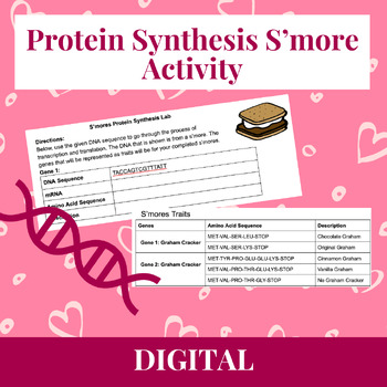 Preview of S'more Protein Synthesis Activity/Lab