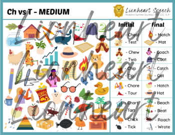 Ch vs T - I Spy - Picture Search - Minimal Pairs - Activity - Worksheets
