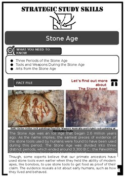 Preview of S3 Stone Age Source-based Activity