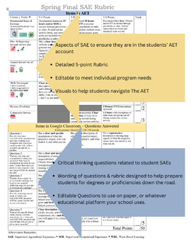 Preview of SAE Rubric - Editable