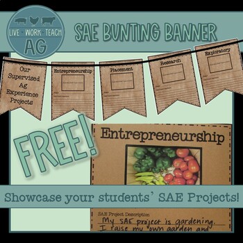 Preview of SAE (Supervised Ag Experience) Bunting Banner