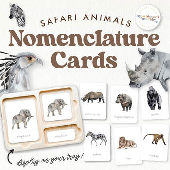 Preview of SAFARI ANIMALS Nomenclature Cards | Montessori Inspired Printable