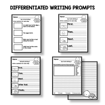 Sea Turtle Life Cycle Worksheets Differentiated Sequencing, Writing