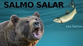 SALMO SALAR! aka Salmon Ppt - Farmed vs Wild