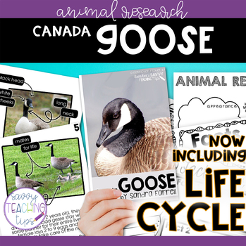 Preview of Animal Research and Life Cycle - CANADA GOOSE