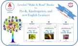 Printables a1: My "a" Words Books (ENTERING level)