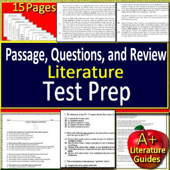 Preview of 10th Grade English Practice Test and Strategy Review Passages and Questions