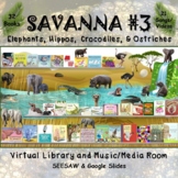 SAVANNA #3: Elephant/Hippo/Crocodile/Ostrich Virtual Library & Music/Media Room