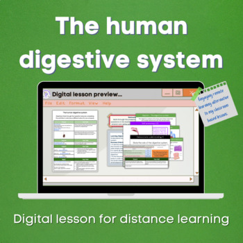 Biology Digestive System Worksheets Teaching Resources Tpt
