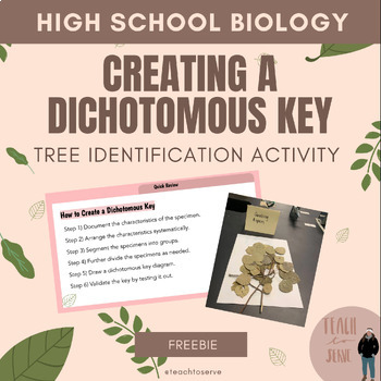 Preview of SBI3U Creating a Dichotomous Key Activity