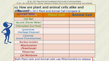 . Plant and Animal Cell Compare & Contrast Table ppt by Doc's  Corner