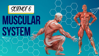 Preview of SCIENCE 6 - MUSCULAR SYSTEM
