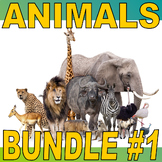 SCIENCE ANIMAL / ECOSYSTEM Bundle #1 (17+ Worksheets / 60 