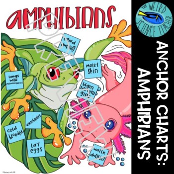 Preview of SCIENCE CLASSIFICATION SCAFFOLDED NOTES/ANCHOR CHART: AMPHIBIANS