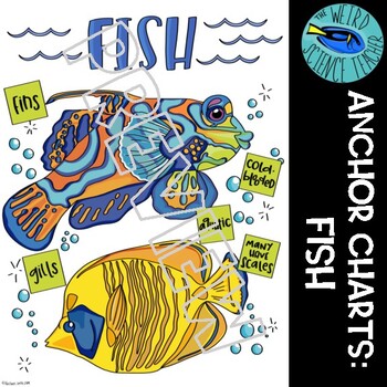 Preview of SCIENCE CLASSIFICATION SCAFFOLDED NOTES/ANCHOR CHART: FISH