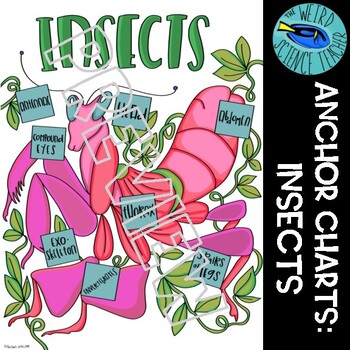 Preview of SCIENCE CLASSIFICATION SCAFFOLDED NOTES/ANCHOR CHART: INSECTS