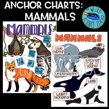 Preview of SCIENCE CLASSIFICATION SCAFFOLDED NOTES/ANCHOR CHART: MAMMALS