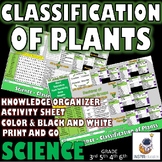 SCIENCE: Classification of Plants Knowledge Organizer and 