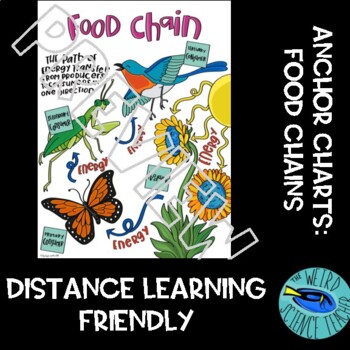 Preview of SCIENCE ECOLOGY DOODLE SCAFFOLDED NOTES/ANCHOR CHART: FOOD CHAINS