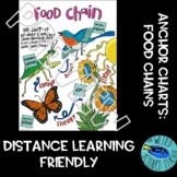 SCIENCE ECOLOGY DOODLE SCAFFOLDED NOTES/ANCHOR CHART: FOOD CHAINS