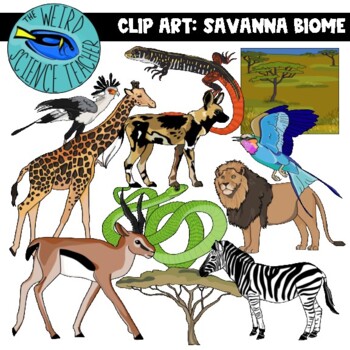 SCIENCE - ECOLOGY -SAVANNA BIOME CLIP ART: 24 PNG IMAGES- COLOR AND BW